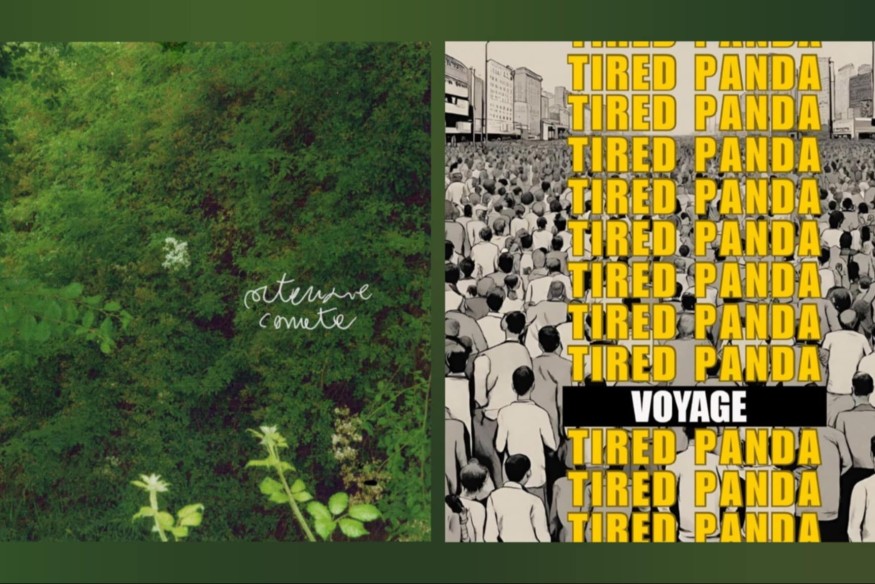 "Ortensie Comete" - Merli Armisa  &  "Voyage" - Tired Panda
